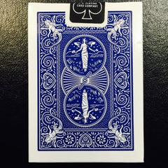Bicycle rider back blue