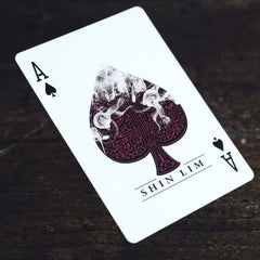 shin lim