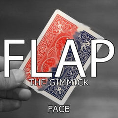 FLAP GIMMICK (FACE)