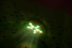 Bestway 7-Color LED Light (Contents:one 7-Color LED Light)