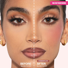 Blush Filter - Liquid Blush