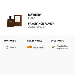 Burberry Mens Hero Parfum 3.4 oz Fragrances