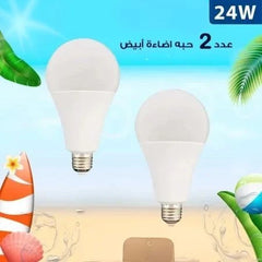 NHE LED Bulb Light 24W E2724 PACK OF 2