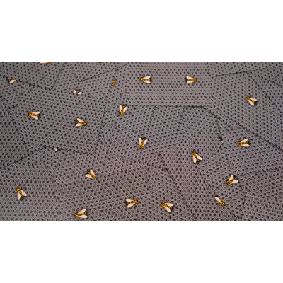 Bicycle Honeybee (Black Gilded)