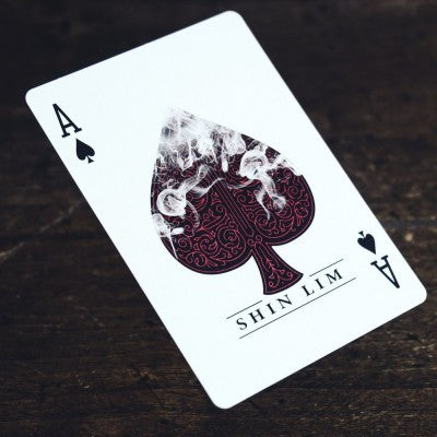 shin lim