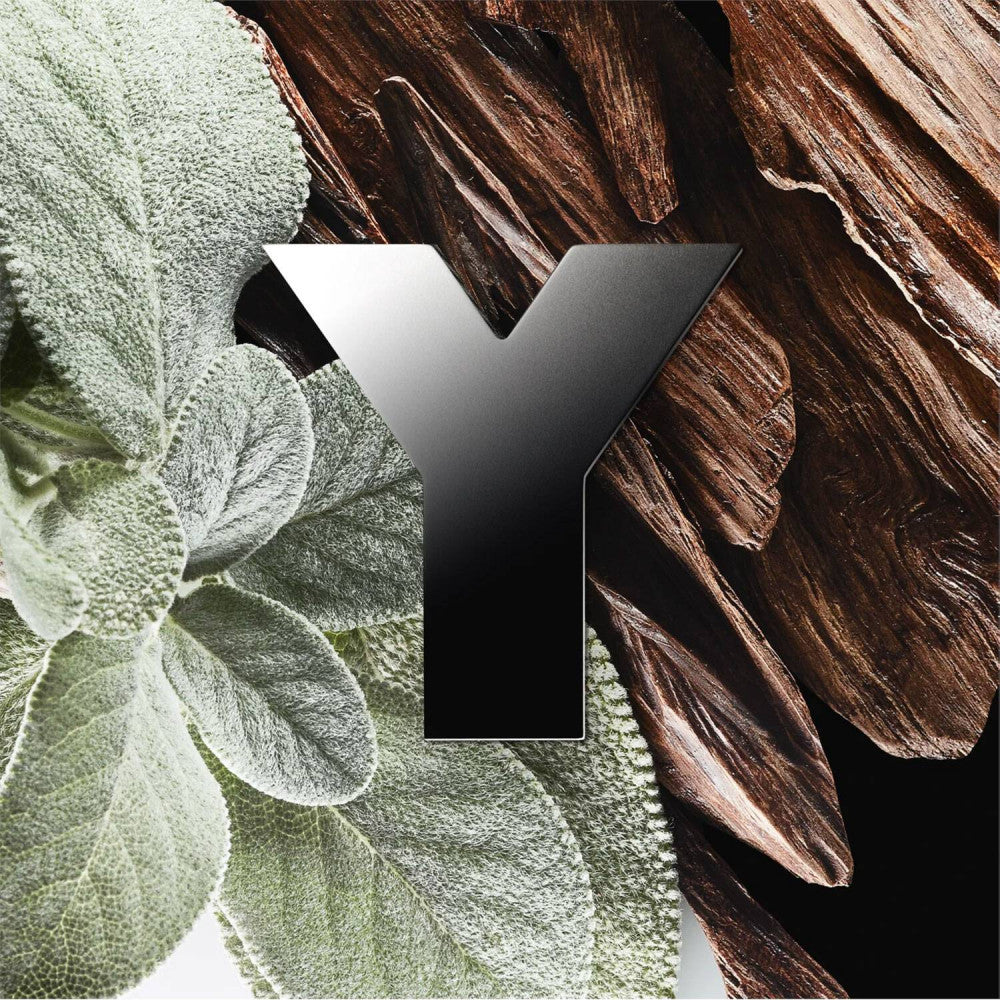 YVES SAINT LAURENT Y Men EDP 100ML