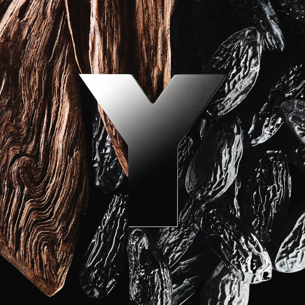 YVES SAINT LAURENT Y Men EDP 100ML