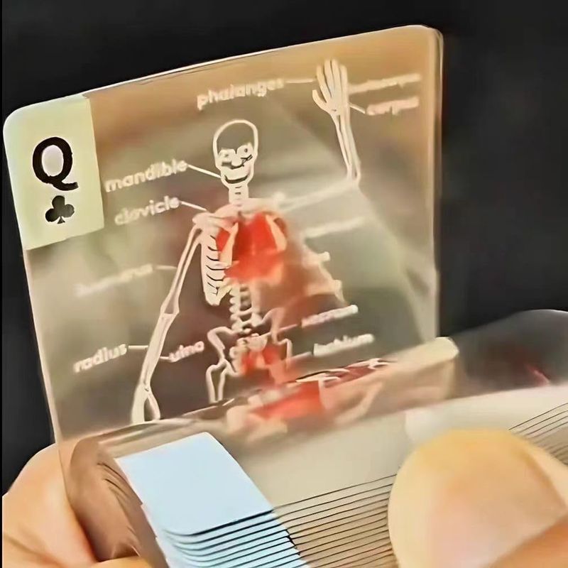 The Body Deck