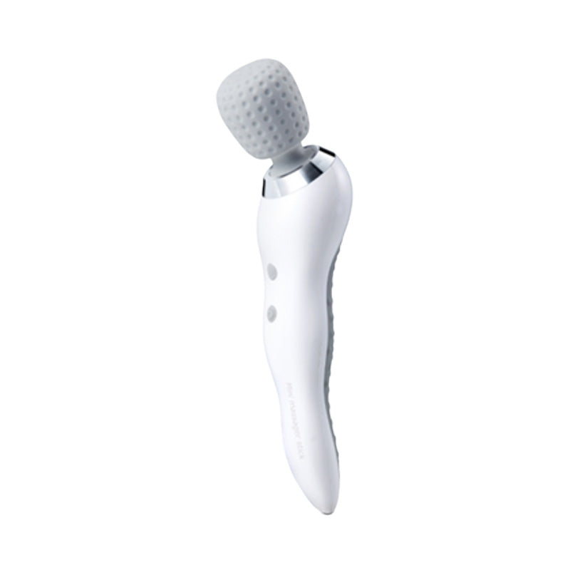 SL-C56 HANDHELD MASSAGER
