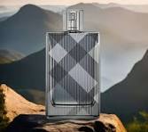 Burberry Brit / Burberry EDT Spray 3.3 oz (m)