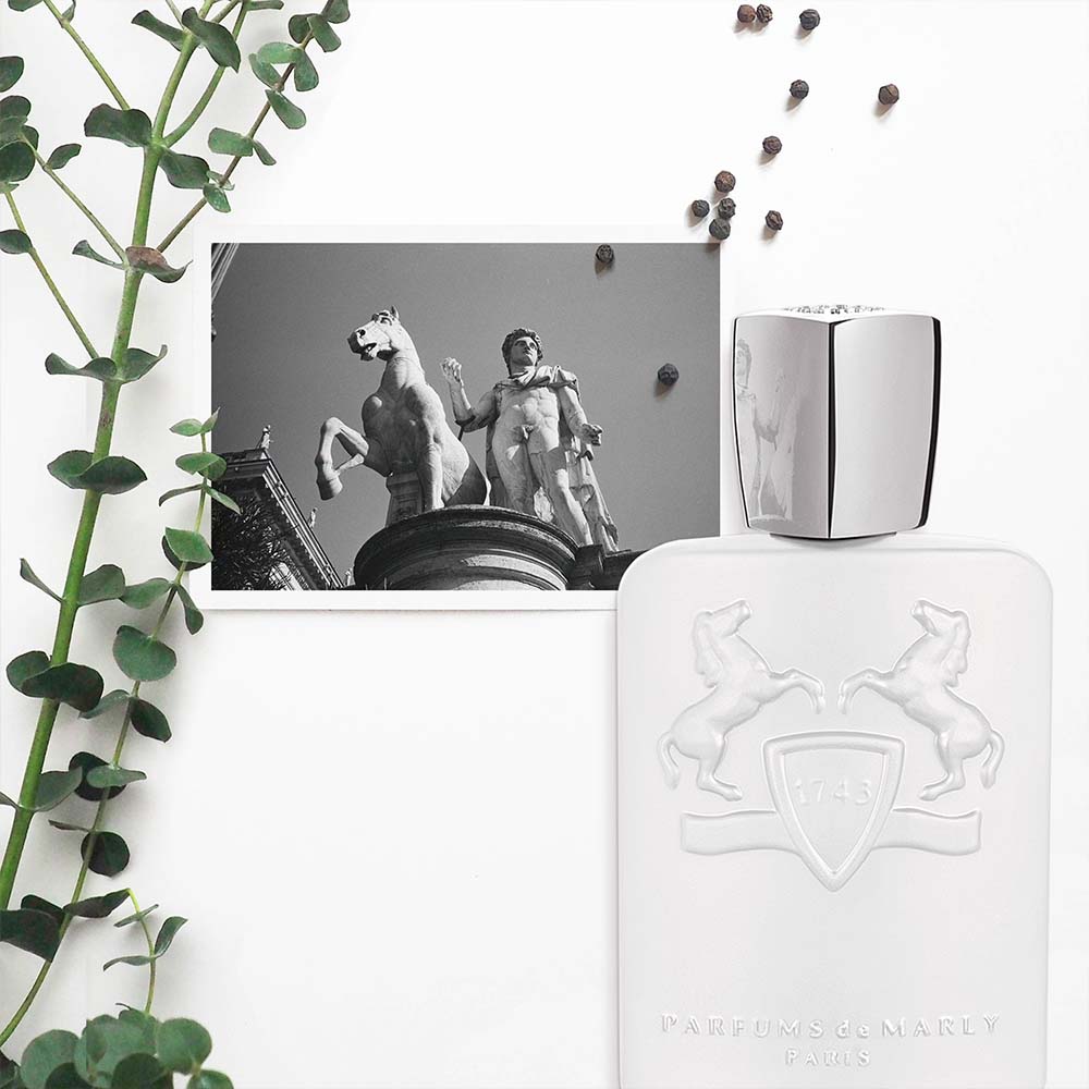 PARFUMS DE MARLY GALLOWAY  EDP125 ML