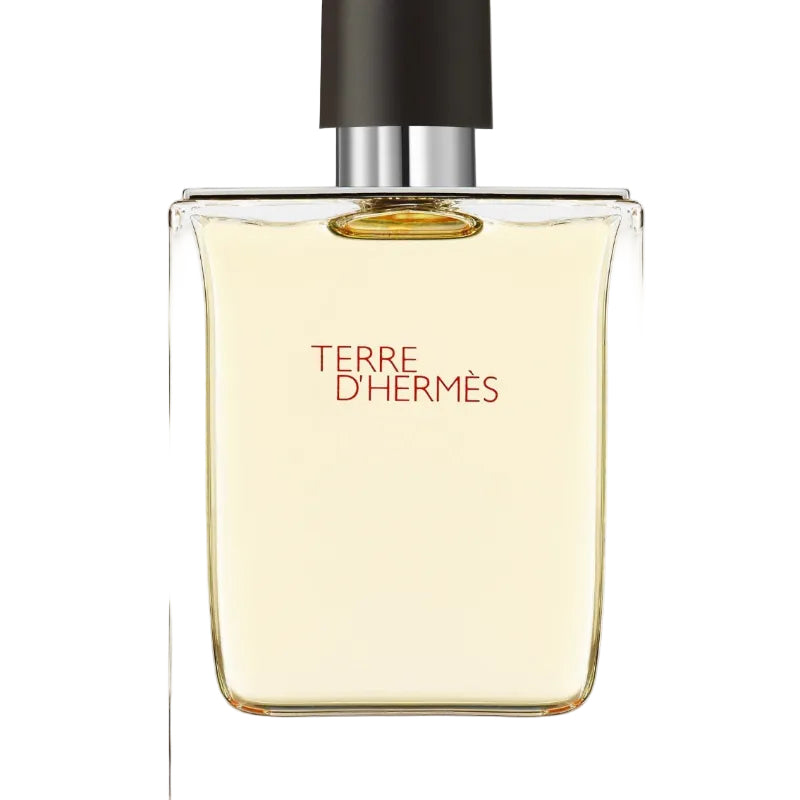 HERMES Terre EDT 100ml