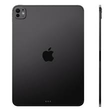 MS - ipad m5 wifi 256GB