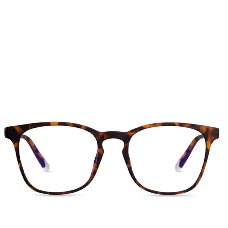 Barner DalstonScreen Glasses - Tortoise