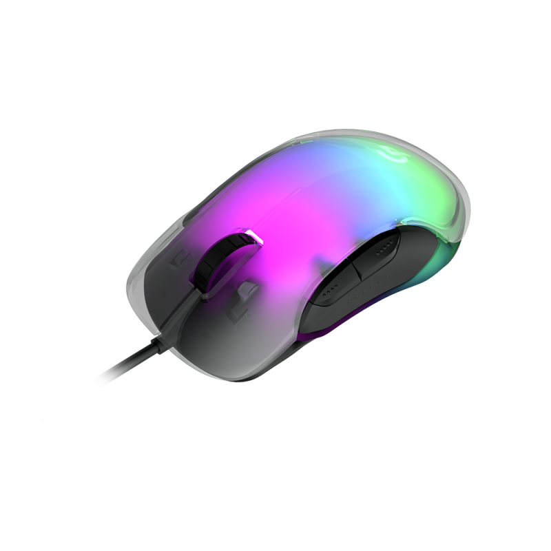 MOUSE