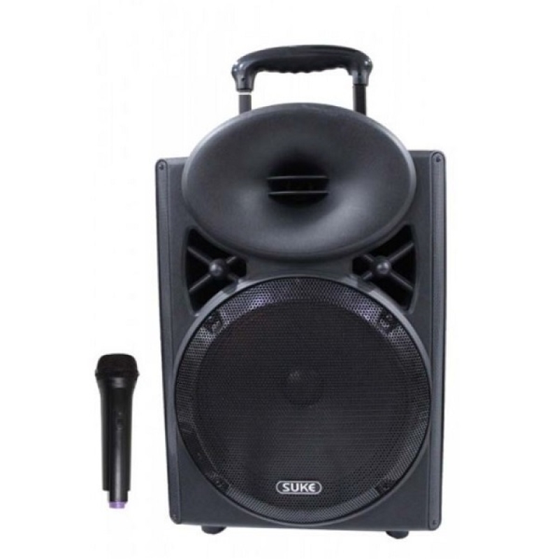 Portable 12Inch LED Single Speaker - A-332