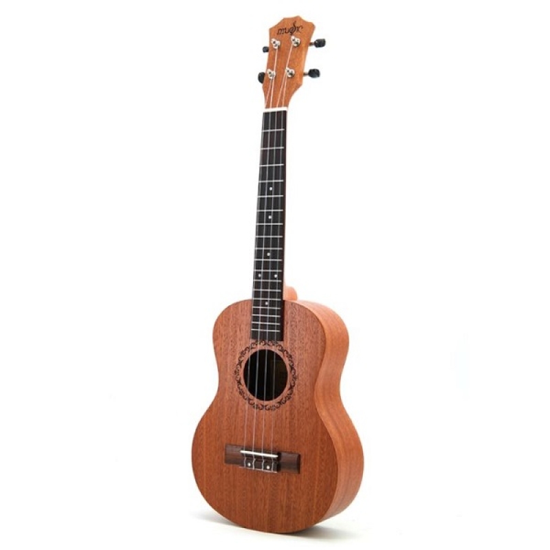 Professional ukulele shop
