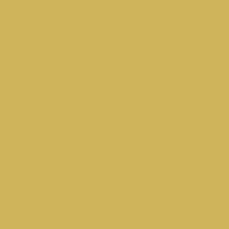 VALIDO LENTO DESERT YELLOW PAPER BACKGROUND (2.7MX10M)