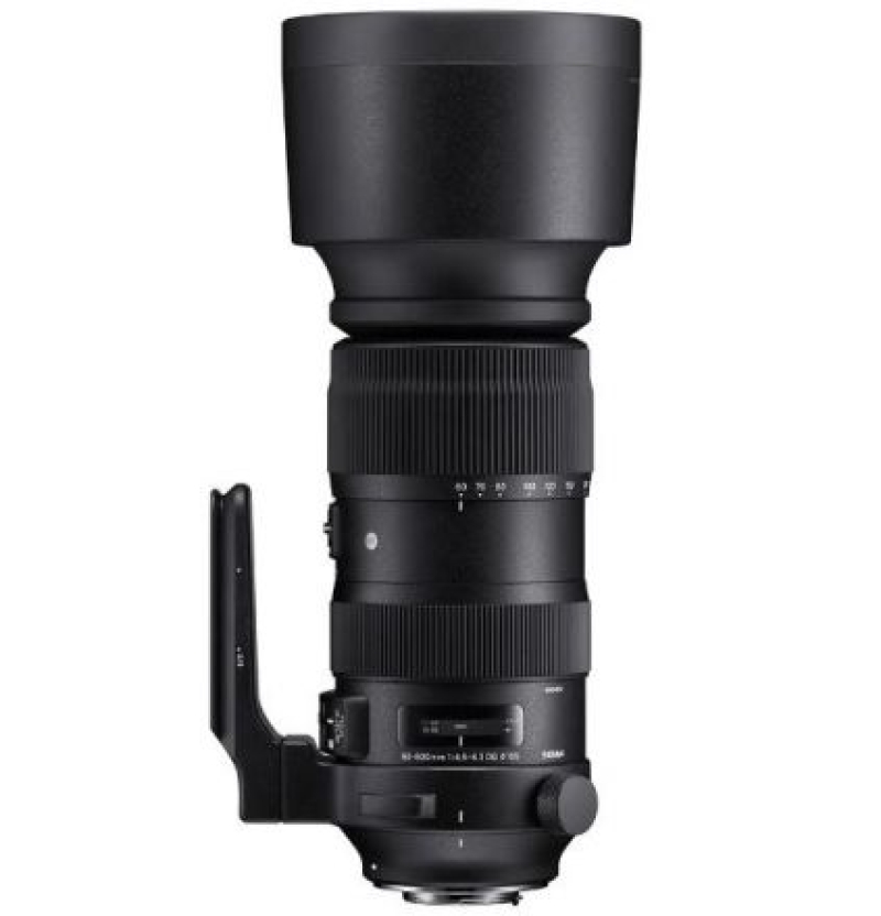 SIGMA AF 60-600MM F/4.5-6.3 DG DN OS (S) F/SE _x000D_
