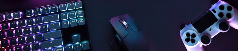 Gaming Accessories